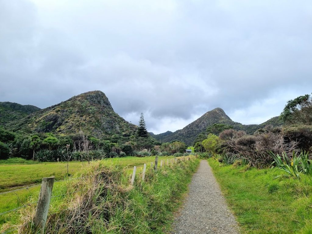 Guía para viajes a Auckland y Northland (4 días) – foto de Carolina Gallon Londono (Unsplash)