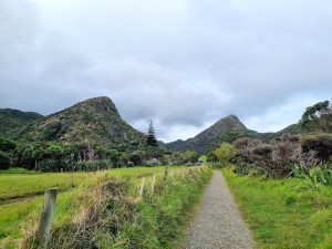 Guía para viajes a Auckland y Northland (4 días)