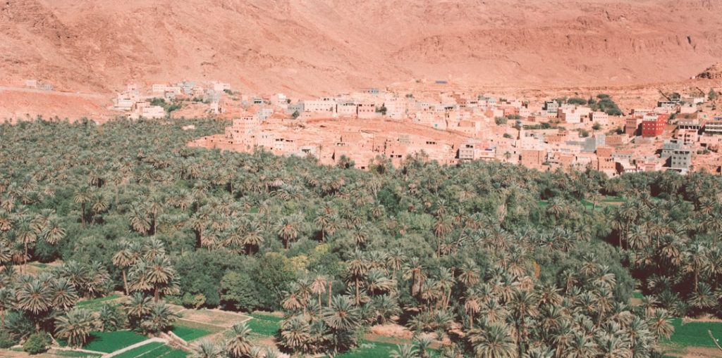 Jordania compacto 5 días: Amán, Petra y Wadi Rum – foto de jewad alnabi (Unsplash)