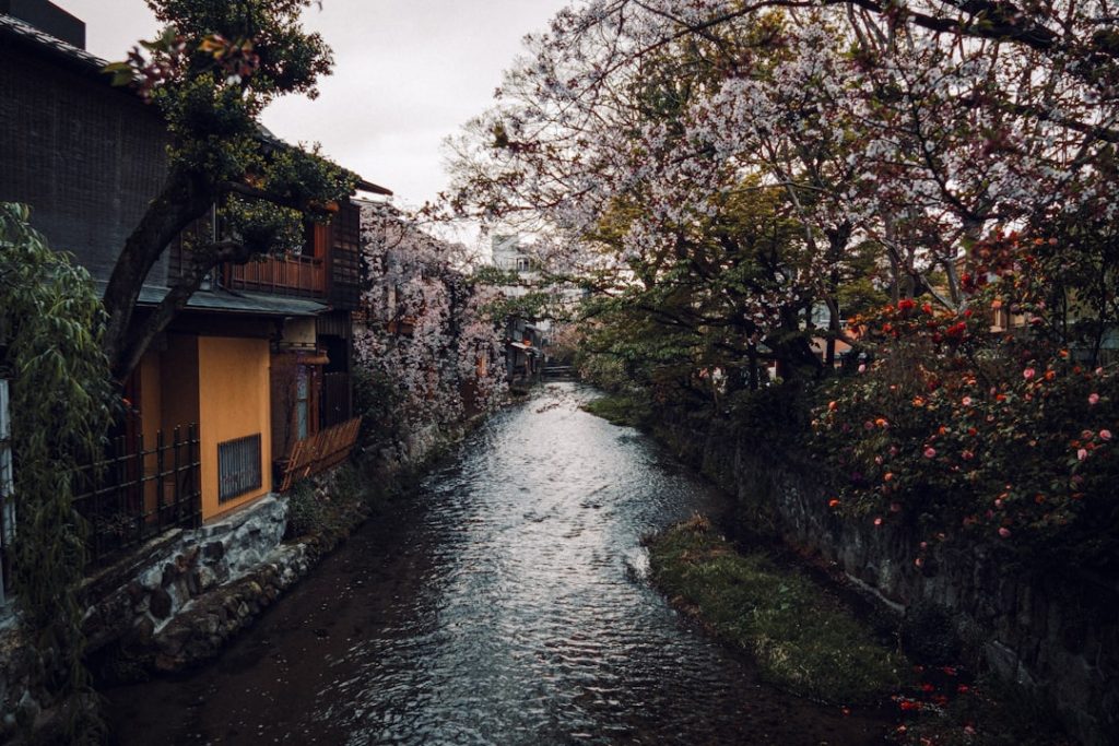 Kioto 2–3 días: buses, templos y amanecer en Fushimi Inari – foto de Andrea De Santis (Unsplash)