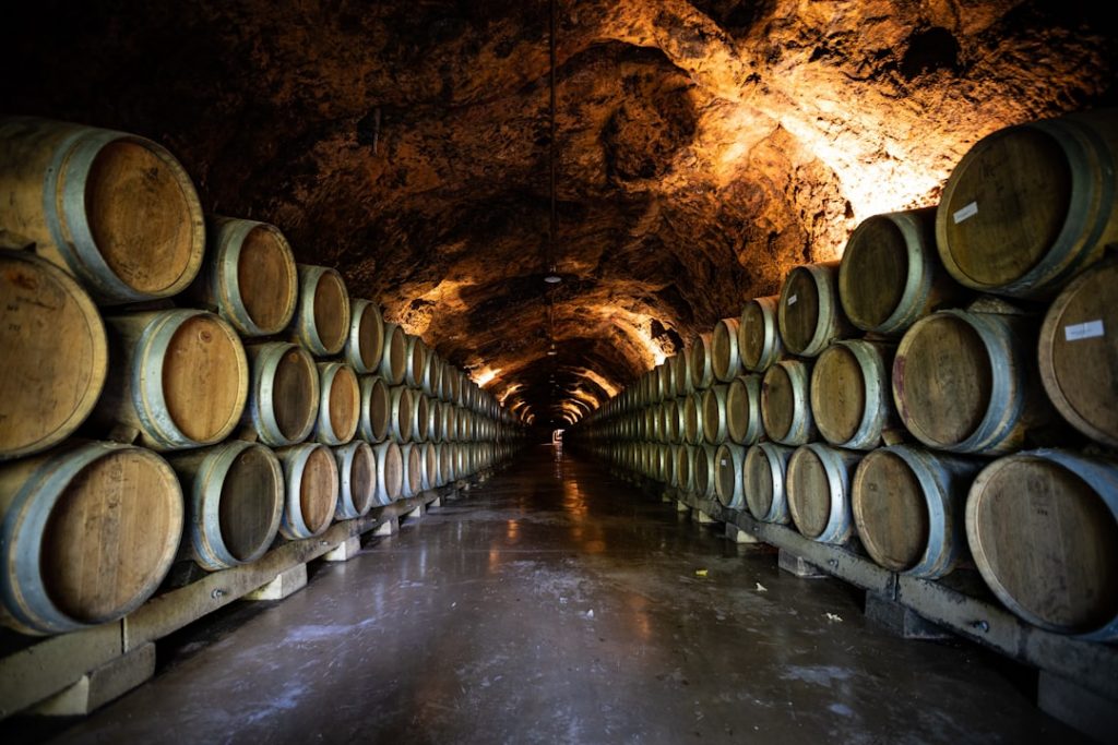 La Rioja Alavesa 3 días: Laguardia y miradores – foto de Mario La Pergola (Unsplash)