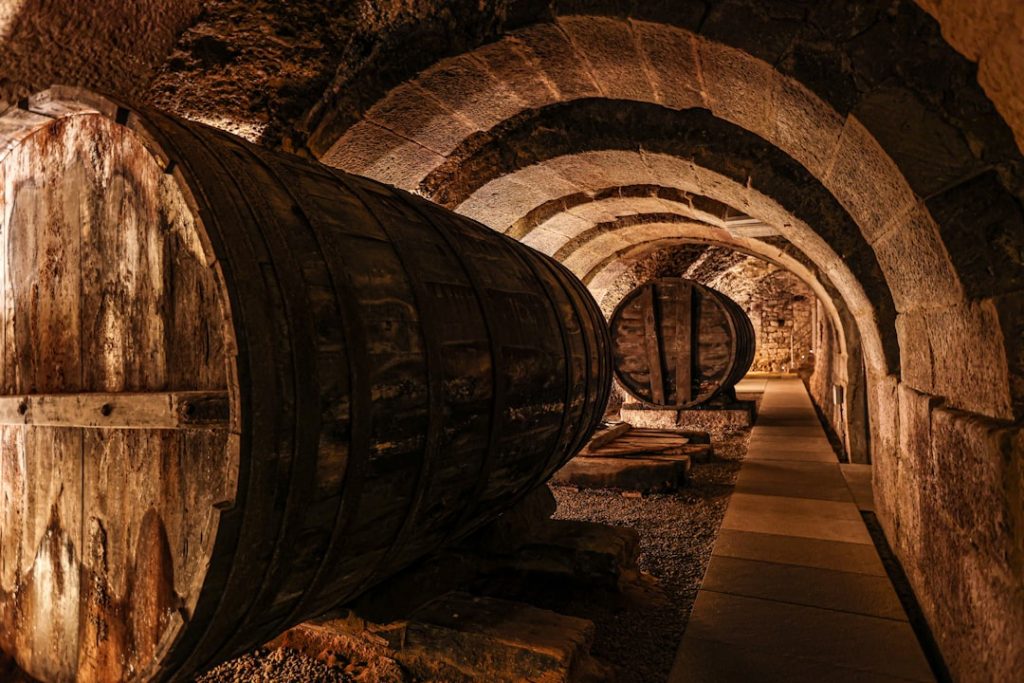 La Rioja Alavesa 3 días: Laguardia y miradores – foto de Mario La Pergola (Unsplash)