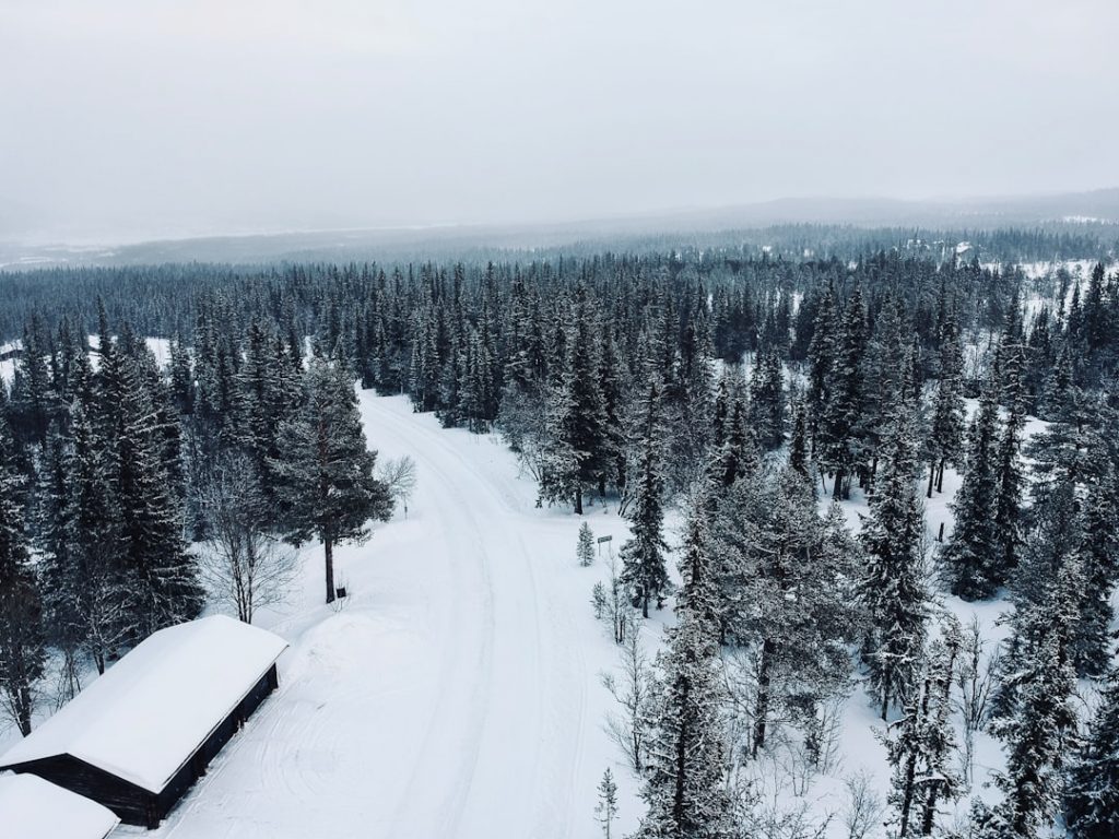 Laponia finlandesa en 4 días – foto de Simon Lund (Unsplash)