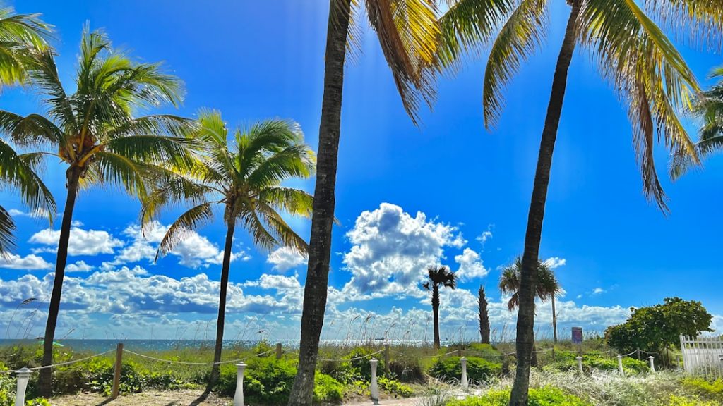 Miami + Everglades en 3 días – foto de Juan Pablo Mascanfroni (Unsplash)