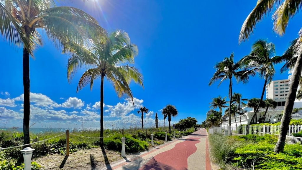 Miami + Everglades en 3 días – foto de Juan Pablo Mascanfroni (Unsplash)