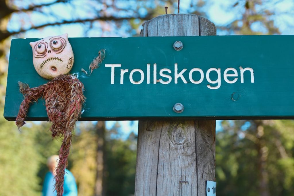 Noruega fiordos en 5 días – foto de Bruna Santos (Unsplash)