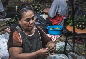 Guía para viajes a Chiang Mai (2–3 días)