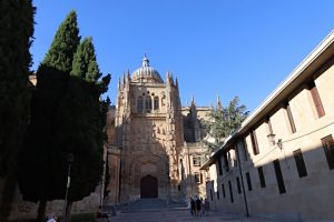 Salamanca universitaria 48h: catedrales, rana y tapeo