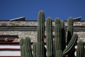 Guía para viajes a Oaxaca (3–4 días)