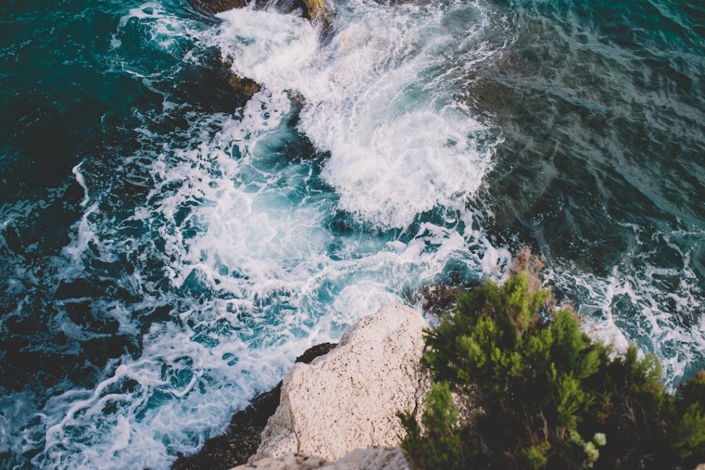 Viajar con perro por España y Portugal: playas caninas y alojamientos – foto de Catalina Fedorova (Unsplash)