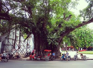 Vietnam 10 días norte-sur: Hanoi–Hue–Hoi An–Saigón