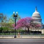 Washington DC en 2 días