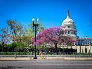 Washington DC en 2 días