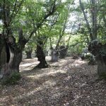 Guía de Ribeira Sacra en 3 días