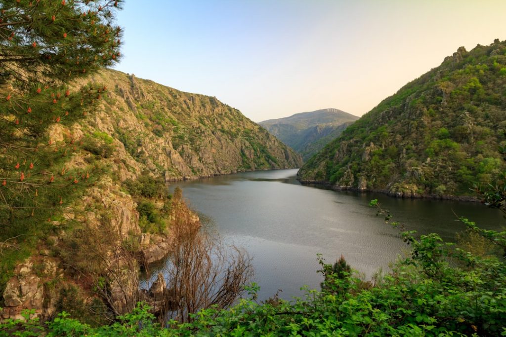 Guía de Ribeira Sacra en 3 días – foto de Alejandro Piñero Amerio (Unsplash)