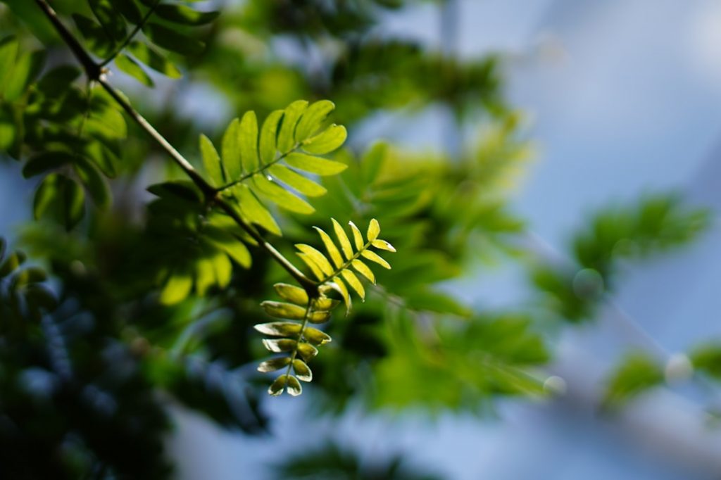 Guía de Viajes Personalizada para hamburgo - 4 días, Con capricho - GuiaViajeros17 – foto de Angela Marin (Unsplash)