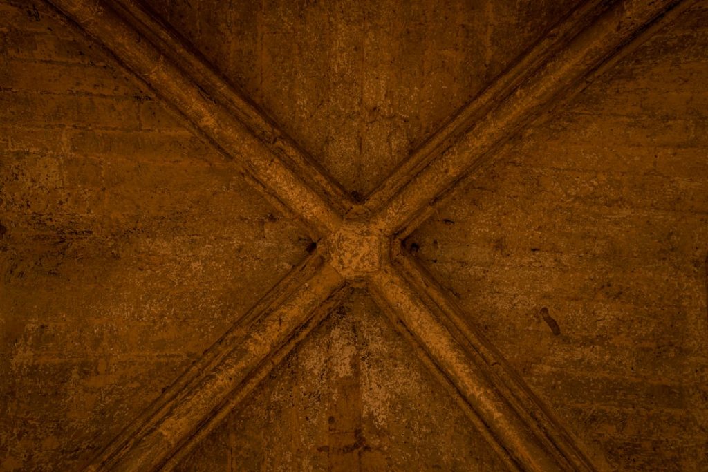 Guía para viajes a Córdoba en Patios (2 días) – foto de Alex Quezada (Unsplash)