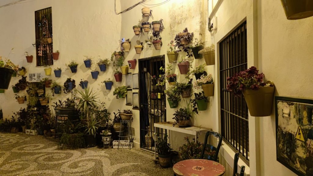 Guía para viajes a Málaga (3 días) – foto de Dimitar Vichev (Unsplash)