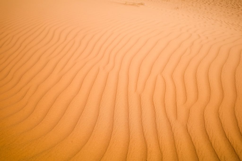 Marruecos: desierto de Merzouga en 3 días – foto de Joseph LEE (Unsplash)