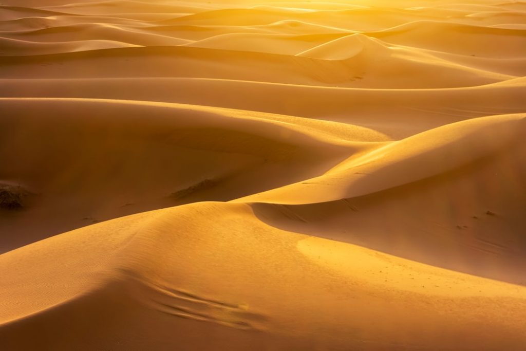 Marruecos: desierto de Merzouga en 3 días – foto de Wietse Jongsma (Unsplash)