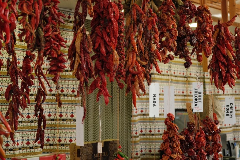 Guía de Madeira en 5 días (sin coche) – foto de Max Kukurudziak (Unsplash)