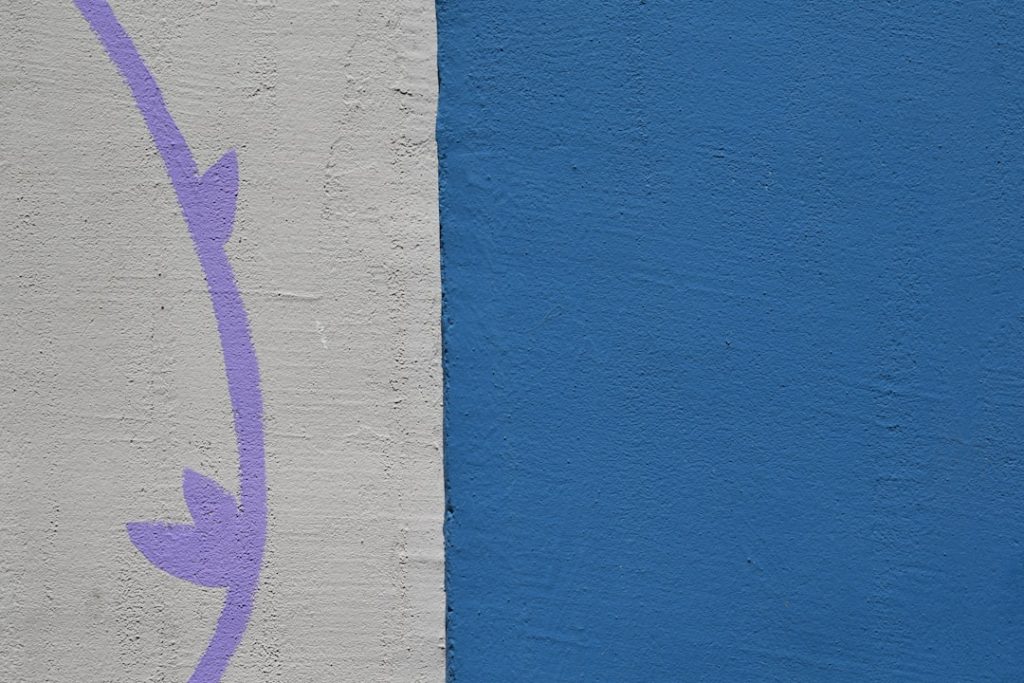 Guía de Provenza (Lavandas y Luberon) en 4 días – foto de Marija Zaric (Unsplash)