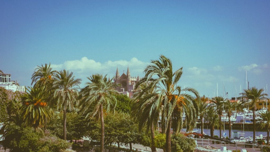 Mallorca roadtrip 4 días: Tramuntana, calas y horarios de aparcamiento – foto de Diego Marín (Unsplash)