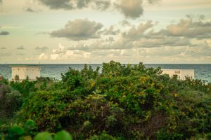 Miami joven: playa, arte en Wynwood y Everglades en tour