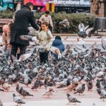 Barcelona en 3 días joven: Gaudí con reserva, búnkers y vermut