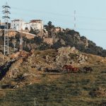 Extremadura 3 días: Cáceres, Trujillo y Monfragüe (buitres y miradores)