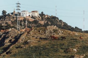 Extremadura 3 días: Cáceres, Trujillo y Monfragüe (buitres y miradores)