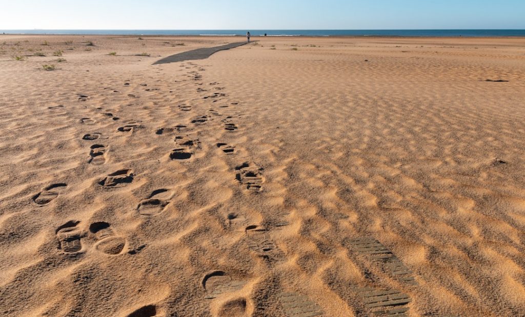 Guía de playas de Huelva (Isla Cristina–El Rompido–Matalascañas) con niños – foto de Armando Suárez Cueto (Unsplash)