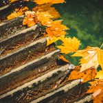 Melbourne creativa: callejones, café y Great Ocean Road