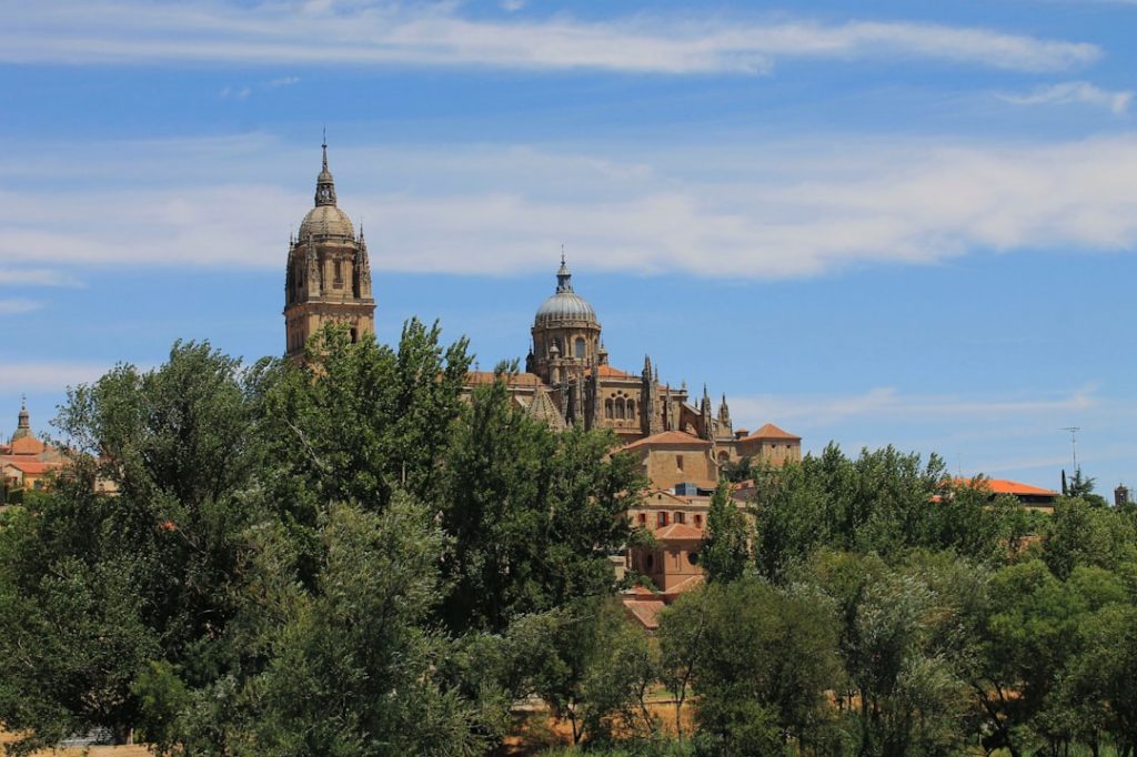 Salamanca 2 días: universidad, catedrales y tapeo estudiantil – foto de Leonie Clough (Unsplash)