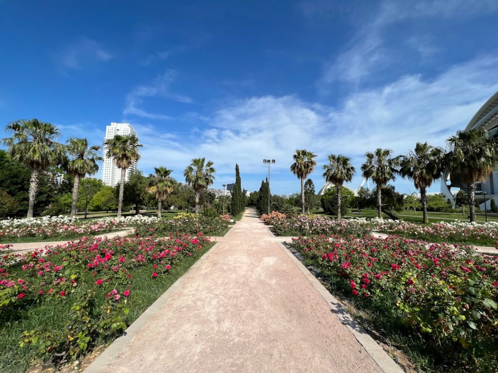 Valencia joven 3 días: Ciudad de las Artes, bici por el Turia y paella real – foto de Helen G (Unsplash)