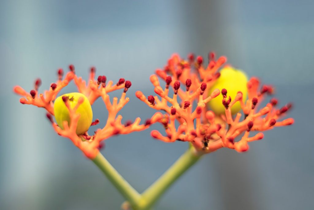 Zúrich barato (lo posible): lago, old town y excursión a Lucerna – foto de Sebastián Brito (Unsplash)