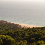 Guía de festivales en la Costa Azul y norte de España