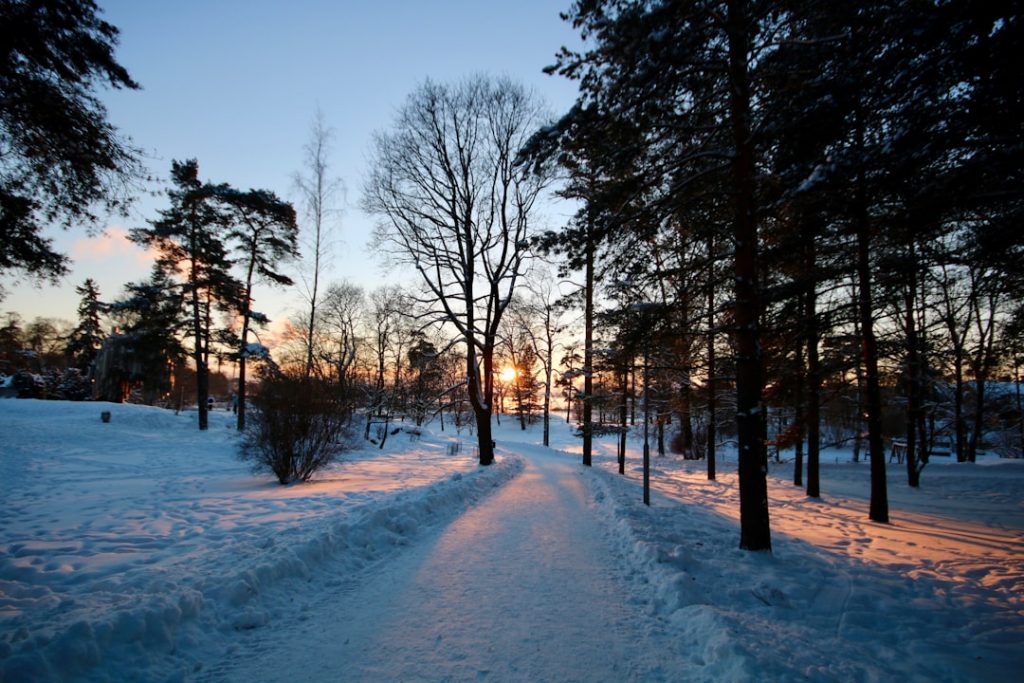 Helsinki y Tallin en 5 días – foto de Jorge Fernández Salas (Unsplash)