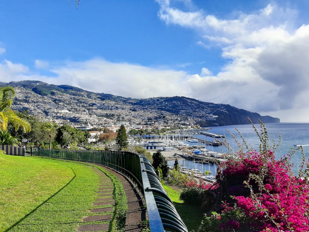 Madeira en 5 días sin rutas difíciles – foto de Sofia Vila Flor (Unsplash)